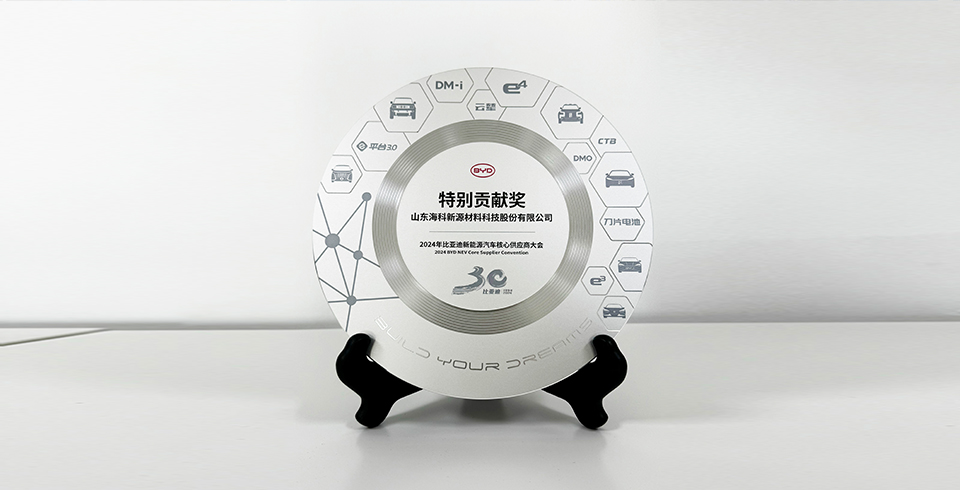 乐竞体育连续四年再度荣获比亚迪2024年“特别贡献奖”